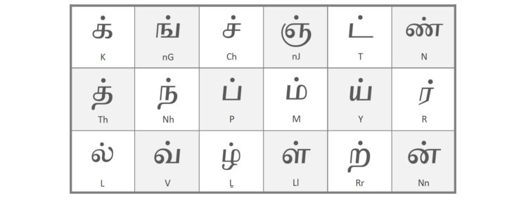 learn tamil through kannada books