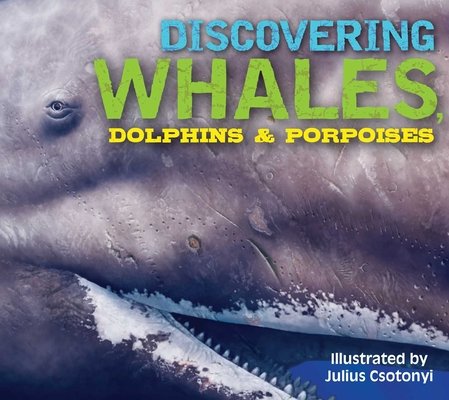 Discovering Whales, Dolphins & Porpoises – Activity Book, 9781604339611